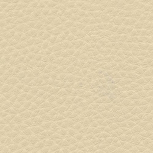 Кожзам 01