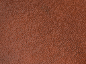 2011