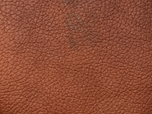 PM005