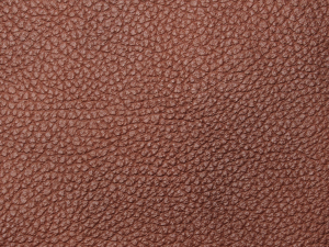 PM006
