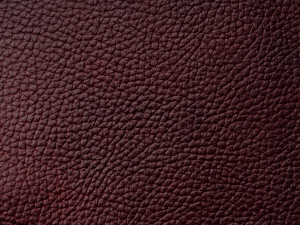PM008