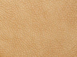 PM009