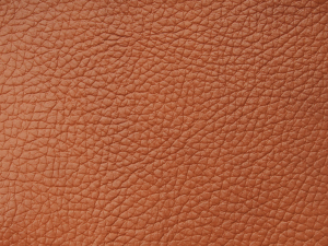 PM010